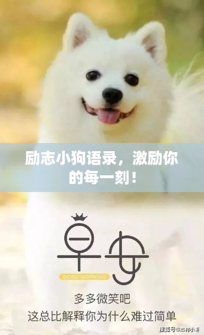 励志小狗语录，激励你的每一刻！
