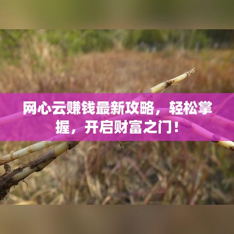 网心云赚钱最新攻略，轻松掌握，开启财富之门！
