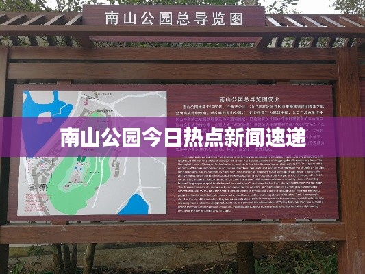 南山公园今日热点新闻速递