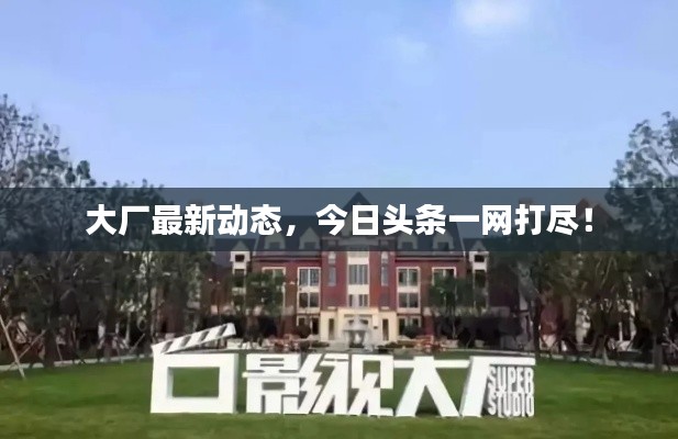 大厂最新动态，今日头条一网打尽！