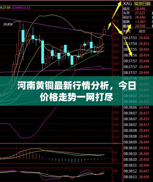 河南黄铜最新行情分析，今日价格走势一网打尽
