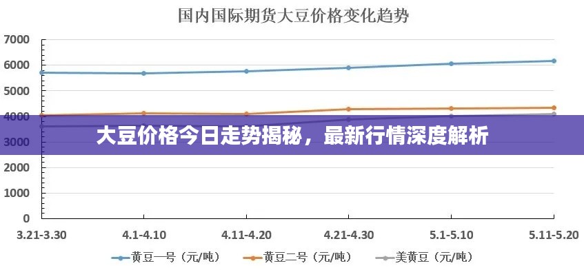 大豆价格今日走势揭秘，最新行情深度解析