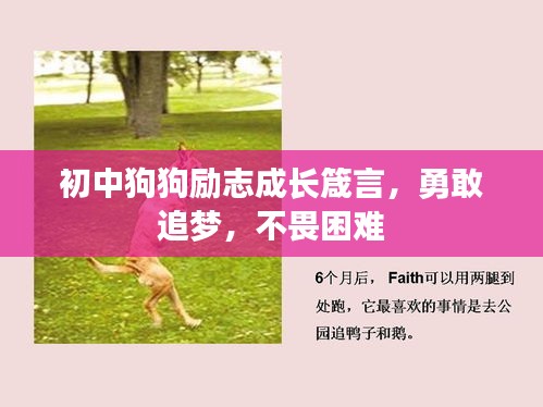 初中狗狗励志成长箴言，勇敢追梦，不畏困难