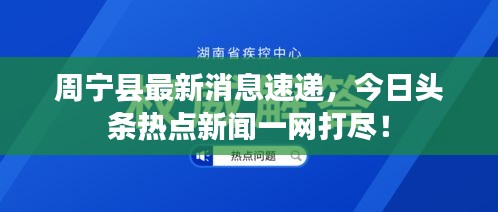 周宁县最新消息速递，今日头条热点新闻一网打尽！