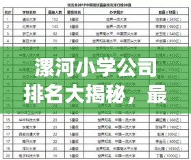 漯河小学公司排名大揭秘，最新榜单，家长必看！