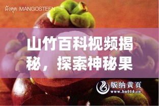 山竹百科视频揭秘，探索神秘果实的奇妙之旅！