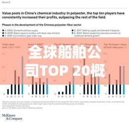 全球船舶公司TOP 20概览，排名与实力解析