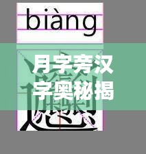 月字旁汉字奥秘揭秘，汉字世界里的神秘之旅
