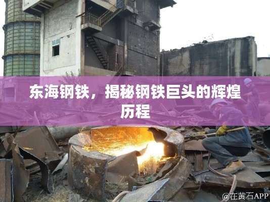 东海钢铁，揭秘钢铁巨头的辉煌历程
