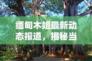 缅甸木姐最新动态报道，揭秘当地最新消息