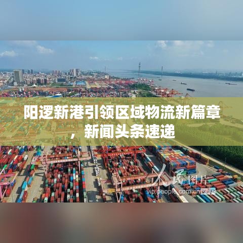 阳逻新港引领区域物流新篇章，新闻头条速递
