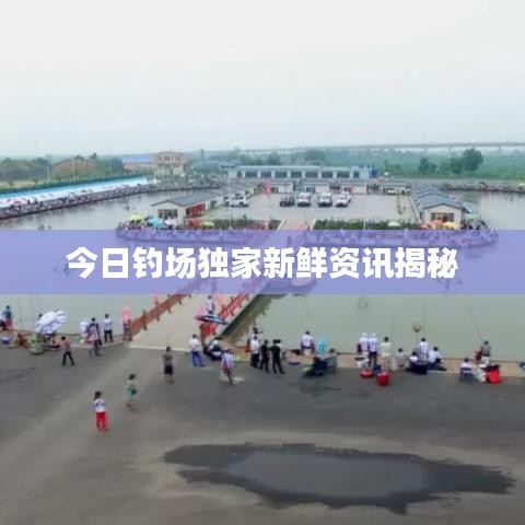 今日钓场独家新鲜资讯揭秘