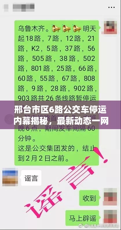 邢台市区6路公交车停运内幕揭秘，最新动态一网打尽