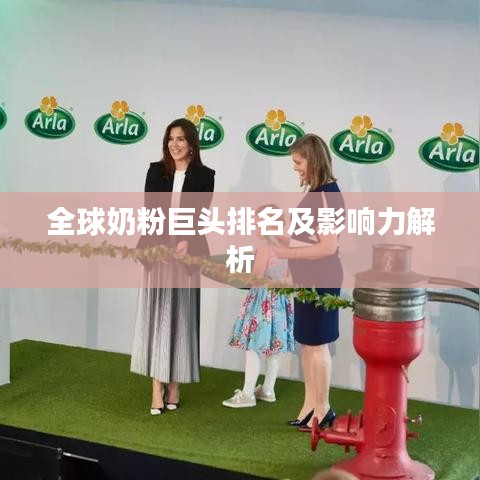 全球奶粉巨头排名及影响力解析