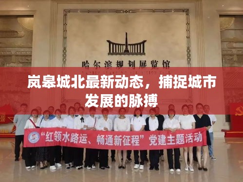 岚皋城北最新动态，捕捉城市发展的脉搏