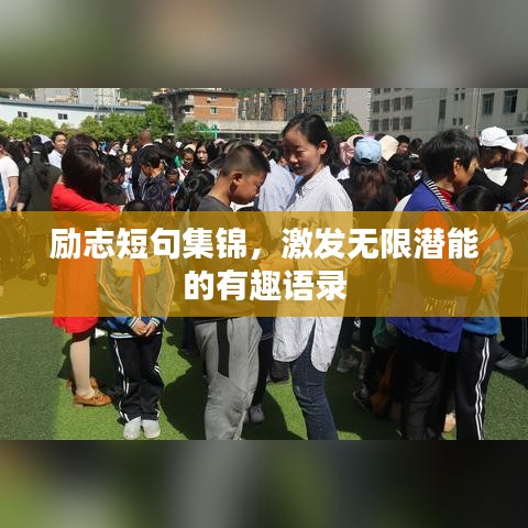 励志短句集锦，激发无限潜能的有趣语录