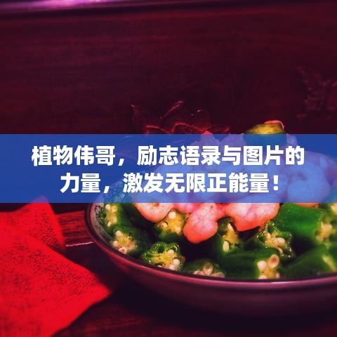 植物伟哥，励志语录与图片的力量，激发无限正能量！