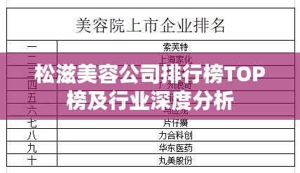 松滋美容公司排行榜TOP榜及行业深度分析