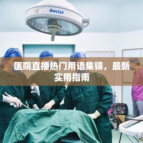 医院直播热门用语集锦，最新实用指南
