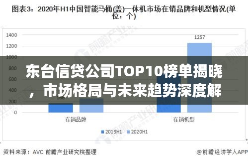 东台信贷公司TOP10榜单揭晓，市场格局与未来趋势深度解读