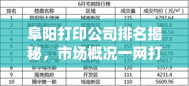 阜阳打印公司排名揭秘，市场概况一网打尽