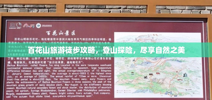 百花山旅游徒步攻略，登山探险，尽享自然之美