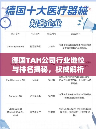 德国TAH公司行业地位与排名揭秘，权威解析引领关注焦点