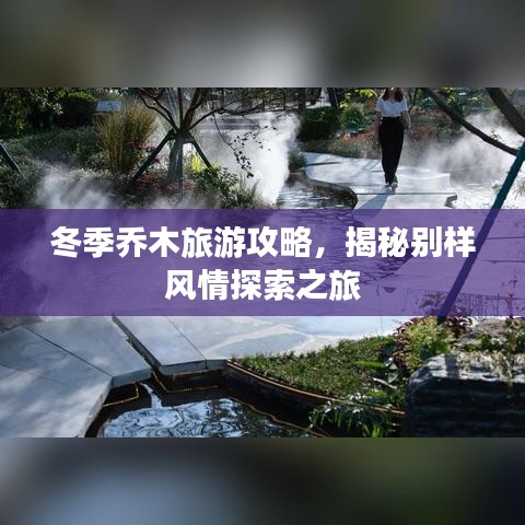 冬季乔木旅游攻略，揭秘别样风情探索之旅