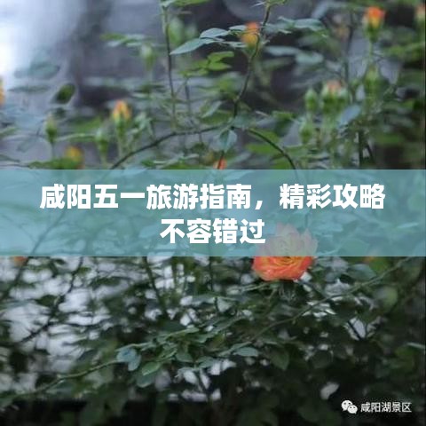 咸阳五一旅游指南，精彩攻略不容错过