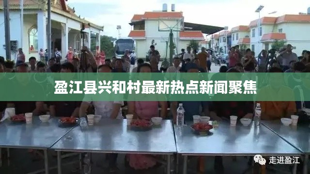 盈江县兴和村最新热点新闻聚焦