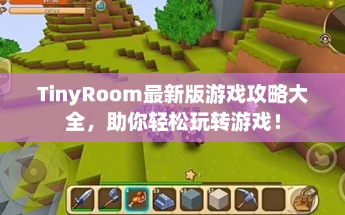 TinyRoom最新版游戏攻略大全，助你轻松玩转游戏！