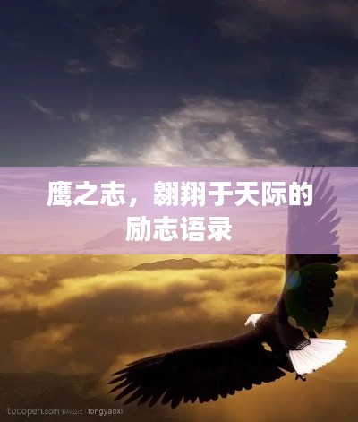 鹰之志，翱翔于天际的励志语录