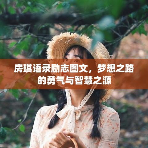 房琪语录励志图文，梦想之路的勇气与智慧之源