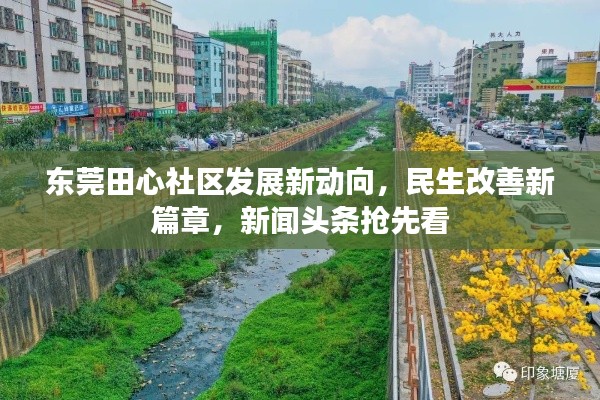 东莞田心社区发展新动向，民生改善新篇章，新闻头条抢先看