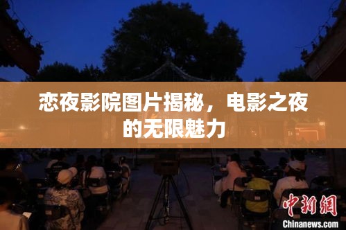 恋夜影院图片揭秘，电影之夜的无限魅力