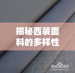 揭秘西装面料的多样性与选择技巧，让你轻松挑选优质面料！