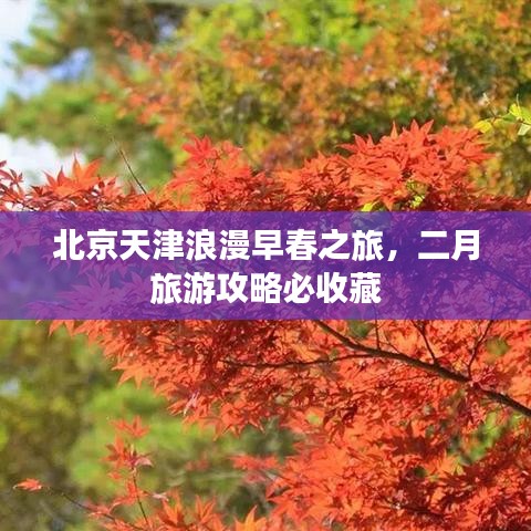 北京天津浪漫早春之旅，二月旅游攻略必收藏