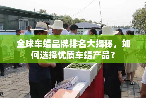 全球车蜡品牌排名大揭秘，如何选择优质车蜡产品？