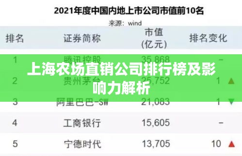 上海农场直销公司排行榜及影响力解析