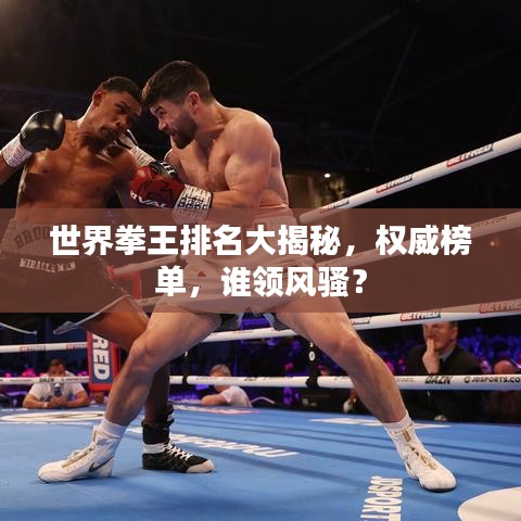世界拳王排名大揭秘，权威榜单，谁领风骚？