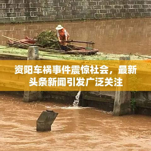 资阳车祸事件震惊社会，最新头条新闻引发广泛关注
