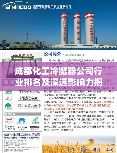 成都化工冷凝器公司行业排名及深远影响力揭秘