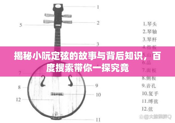 揭秘小阮定弦的故事与背后知识，百度搜索带你一探究竟