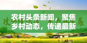 农村头条新闻，聚焦乡村动态，传递最新资讯