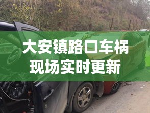大安镇路口车祸现场实时更新，事故最新进展曝光