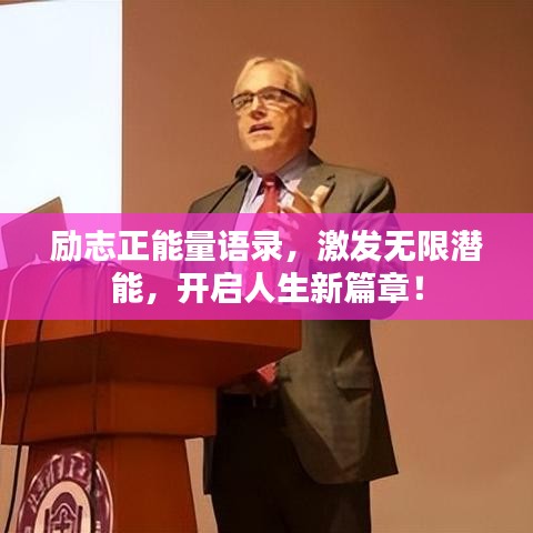 了解鹿瓷 第9页