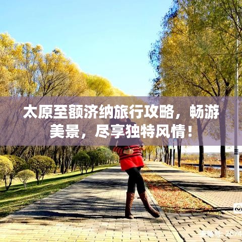 太原至额济纳旅行攻略，畅游美景，尽享独特风情！