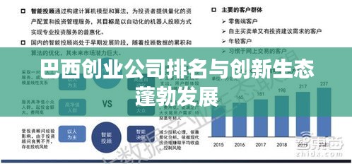 巴西创业公司排名与创新生态蓬勃发展