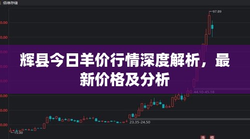 辉县今日羊价行情深度解析，最新价格及分析