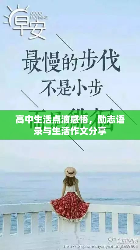 高中生活点滴感悟，励志语录与生活作文分享